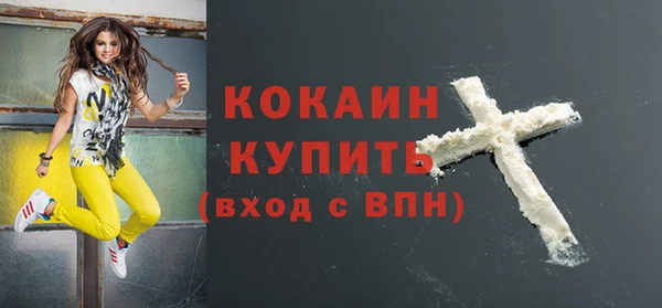 МДПВ Богородск
