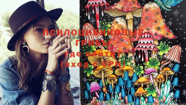 ECSTASY Всеволожск
