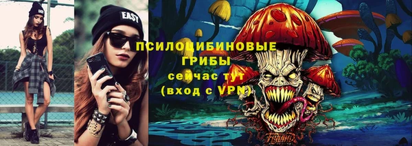 МДПВ Богородск