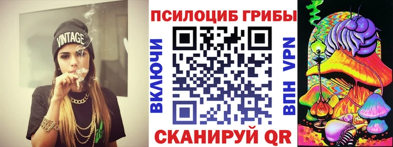 Псилоцибиновые грибы мицелий  где купить   Красный Кут 